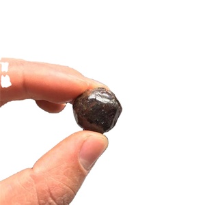 <span class=keywords><strong>Granato</strong></span> rosso naturale di cristallo <span class=keywords><strong>granato</strong></span> grezzo <span class=keywords><strong>granato</strong></span> guarigione <span class=keywords><strong>pietra</strong></span> <span class=keywords><strong>granato</strong></span> ruzzolosa per la decorazione - Product Image 6