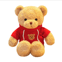 Peluche ours en peluche de haute qualité, personnalisée, pour la remise de diplômes, mignonne, avec ruban, cadeaux, décoration de la maison