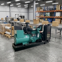 Groupe électrogène diesel triphasé certifié Euro3 de 175KW, 180KW, 185KW, 190KW, 195KW, 200KW, 250KVA pour usine et atelier en Asie du Sud-Est