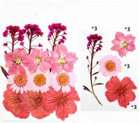 Gedroogde geperste bloemenset hortensia roos gypsophila gemengde bloemen geperste bloemen voor hars oorbel hanger DIY gedroogde bloemen knutselwerk