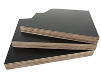 Planches de contreplaqué de première qualité en bois d'eucalyptus, style design moderne, écologiques, résistantes à l'humidité, placage noir