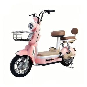 2024 Vélo cargo électrique à 2 roues avec moteur de moyeu arrière 250W Batterie au lithium 60V 48V Capacité de 150kg Écran LCD pour adultes - Product Image 2