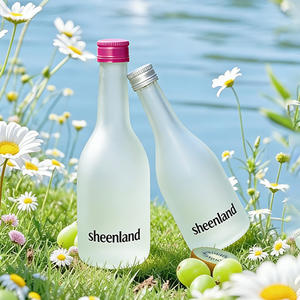 Botellas de Vidrio Esmerilado de 350 ml para Almacenamiento, Venta al Por Mayor, Botellas Vacías para Frutas, Vino y Licores - Product Image 1