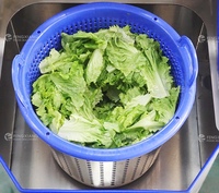 Machine de lavage et d'essorage à bulles pour légumes (laitue verte)