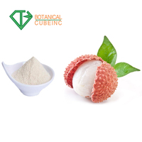 B.c.i Levert Hete Verkoop Instant Vaste Dranken Lychee Lychee Fruitpoeder Lychee-Sappoeder