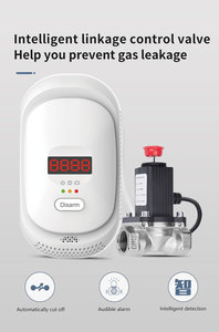 China Factory 110v/220v Combustible Gas Lpg Gas <strong>Leak</strong> <strong>Detector</strong> Can Work With Shut Off Valve Lpg Gas Leakage <strong>Detector</strong> - Product Image 5
