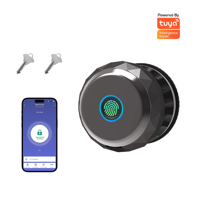Tuya App Fingerprint Smart Ball Lock with BLE Door Lock Keyless Entry Aluminum Door Memory Card Home Apartment