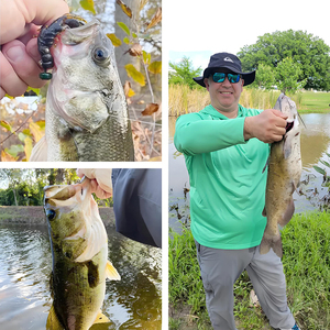 Mồi câu cá nhà máy bán buôn nhựa mềm câu cá mồi 88mm 6.3g Silicone craws Tôm mềm lure PVC câu cá Crawler mồi - Product Image 5