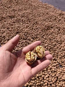 Óc Chó hạt ánh sáng nửa NGON hạt và hạt Trung Quốc xuất xứ vỏ và unshelled rửa óc chó - Product Image 3