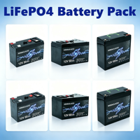 Paket Baterai LiFePO4 dengan Perlindungan BMS Cerdas 12V Seri Baterai Lithium Iron Phosphate Daya Tahan Siklus Panjang untuk Tenaga Surya RV