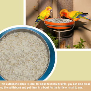 Vente chaude os de seiche cassé meilleur prix taille personnalisée os de seiche calcium vitamine D3 essentiel soin des oiseaux - Product Image 3