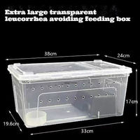 Boîte d'alimentation ventilée pour reptiles, robuste et transparente, pour animaux de compagnie, idéale pour l'escalade et l'alimentation - Vente chaude