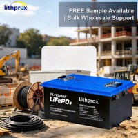Batteria Industriale LiFePO4 per Carrelli Elevatori 38.4V 200AH, Alta Densità Energetica, Certificata CE RoHS UN38.3 per OEM ODM