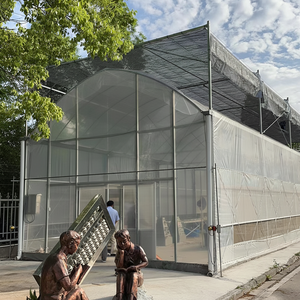 Túnel de Acero Galvanizado, Estructura de Invernadero Duradera en Venta con Diseño Resistente a la Corrosión - Product Image 1