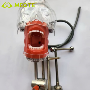 Foshan meite dentista formazione insegnamento con la testa della mascella modello dentale Phantom Manikin simulatore Typodont - Product Image 3