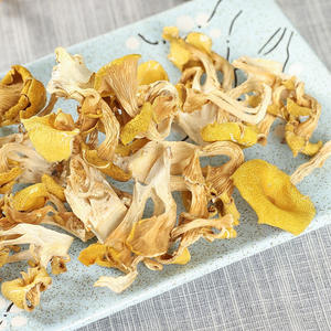 Vente en gros Chanterelle séchée jaune champignon comestible déshydraté Yunnan Cantharellus Cibarius Ji You Jun - Product Image 2