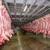 Chambre froide pour viande à basse température -25~-30 ℃   Chambre froide pour la congélation de viande, construction d'entrepôts frigorifiques