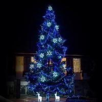 L'arbre de Noël animé par RVB imperméable extérieur commercial de LED allume le PVC fait sur commande pour des hôtels et des centres commerciaux IP65 évalué