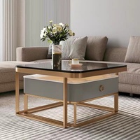 Table basse rectangulaire scandinave moderne avec rangement, en acier inoxydable et verre trempé, durable, marron, meubles pour la maison