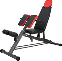 Wellshow Banc de musculation pour l'entraînement complet du corps tout-en-un Hyper Back Extension Chaise romaine réglable