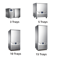 3 5 10 15 20 30 Plateaux Plug-In Blast Freezer -40 °C Freeze Auto Defrost High Quality for Meat Seafood Bakery Fruit Use