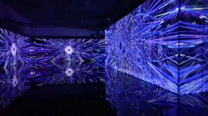 Écran de projection holographique Pepperscrim3D 3,6x6m, <span class=keywords><strong>image</strong></span> holographique pour extérieur - Product Image 4