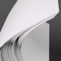 Papier couché double face FBB 300 120 g/m² A4 pour impression, blanc, recyclé, prix usine pas cher, 750 mm, 800 mm, 900 mm