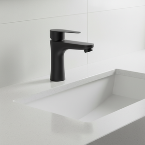 मैट काले आधुनिक स्टेनलेस स्टील 201 कोल्ड बेसिन नल नल नल के लिए एकल हैंडल सिरेमिक वाल्व कोर के साथ वॉश बेसिन के लिए एकल हैंडल सिरेमिक वाल्व कोर के साथ - Product Image 1