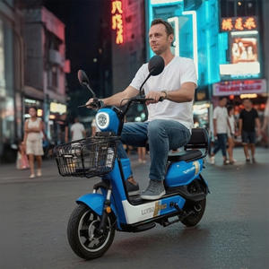 <span class=keywords><strong>Vélo</strong></span> de ville <span class=keywords><strong>électrique</strong></span> Holladay 350W 48V <span class=keywords><strong>vélo</strong></span> hybride avec porte-bagages avant gros pneu cyclomoteur <span class=keywords><strong>électrique</strong></span> scooter <span class=keywords><strong>électrique</strong></span> <span class=keywords><strong>2</strong></span> <span class=keywords><strong>places</strong></span> - Product Image 1