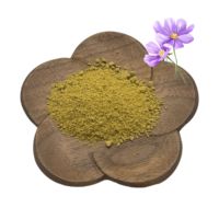 Poudre d'extrait de fleur d'échinacée purpurea d'acide chicorique 4% en vrac extrait d'échinacée purpurea