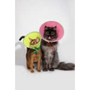 Waterproof Pet Recovery Cone With Snap <b>Button</b> Cat Elizabeth Collar And Lightweight Plastic <b>Dog</b> Collar For Anti Bite - Product Image 3