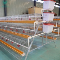 Équipement de poulailler en acier galvanisé de type A pour poulets pondeuses, système de cages métalliques pour l'agriculture avicole en Chine, destiné aux Philippines