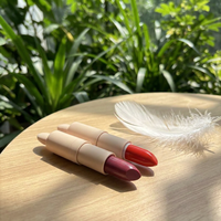 Vente en gros Maquillage végétalien longue durée imperméable à l'eau Rouge à lèvres mat de luxe Rouge à lèvres de marque privée