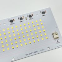 60W AC 220V DOB LED Module PCB 6500K 6KV Projecteur en aluminium anti-surtension pour l'architecture
