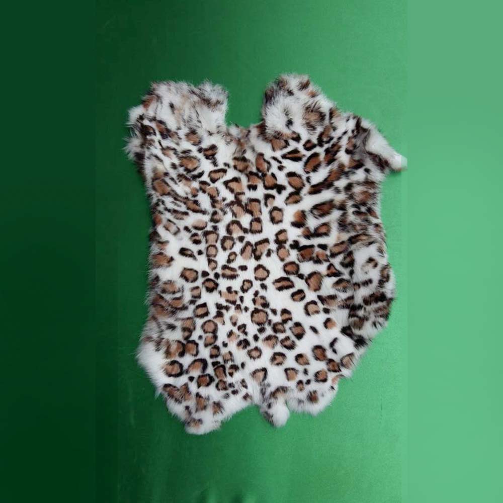 Leopardo