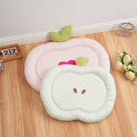 Honden- en kattenmat Kennel Fruit Series Cool Mat Zachte Mat Teddy Kleine Hond Zomer Ademend Modieus Modern Huisdierenbed Kartonnen Verpakking