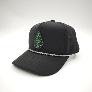 Gorra de Golf Impermeable con Logotipo Personalizado, Gorra Deportiva de 5 Paneles con Perforaciones Cortadas a Láser, Gorras de Béisbol Unisex de Alta Calidad - Product Image 3