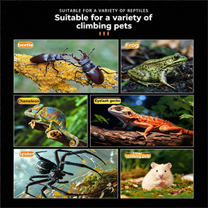 Hábitat Modular Personalizado para Reptiles de Acrílico con Material Reforzado, Múltiples Ventilaciones, Vista de 360° y Diseño Anti-Escape - Product Image 3