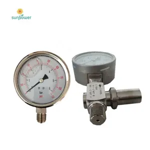Professional factory supply natural gas double needle bourdon tube pressure gauge