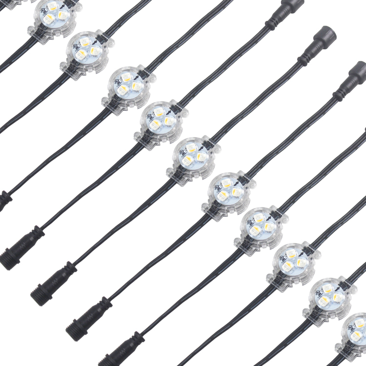Led Pixel Light Rgb Christmas 12v UCS2904 Brightness Ip68 Waterproof Outdoor Permanent Christmas Light Point Lights · image 2