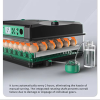 Incubateur d'oeufs de poule entièrement automatique 220V/110V/12V 260 incubateur d'oeufs à couver pour caille canard oie Pigeon