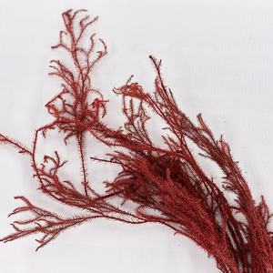 Drago di montagna DIY aromaterapia galleggiante bottiglia di cervo corna di erba pino pino vero fiore vita eterna fiore per la laurea - Product Image 5