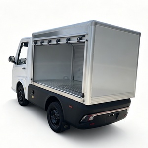 Vehículo Eléctrico de 4 Ruedas Runhorse TEV, Conducción por la Derecha, Auto Eléctrico para Adultos, 2 Asientos, Mini Camioneta Eléctrica para el Mercado Europeo - Product Image 1