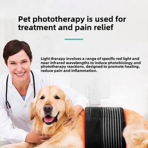 ينصح الطبيب البيطري باليد الحيوانات الأليفة بالأشعة تحت الحمراء للكلاب مفصل العمود الفقري القطني كلب كهربائي - Product Image 3