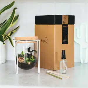 Vente en gros de mini conteneurs de table personnalisés pour le jardin mini jardinière en verre pour le bricolage mini jardinière de plantes à air succulentes