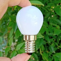 Lampes à bulbe en verre G35 E12/E14 B15/E17, éclairage de vacances, 12V/24V, lumières de bateau, couvercle givré