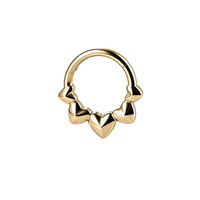 Anneaux segmentés en titane G23 avec zircon, plaqués or, style punk, bijoux de piercing pour le nez, cadeau de fiançailles et de mariage, certifiés ISO, vente en gros