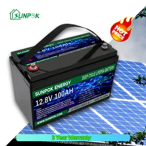 12V 200Ah LiFePO4 Lithium Ion Battery Box Module Case with Heating Function BMS Protection for RV AGM Solar Applications
