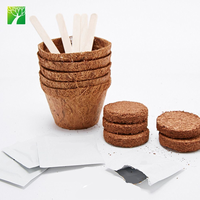 Le kit de démarrage d'arbre à bonsaï écologique de Planters' Choice comprend un marqueur de plante en bois fleurs artificielles pour boîtes d'intérieur à la maison