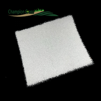 Tapis d'herbe de ski synthétique anti-dérapant pour le ski sec en plein air 20mm de hauteur de pile terrains d'entraînement en plastique ignifuge